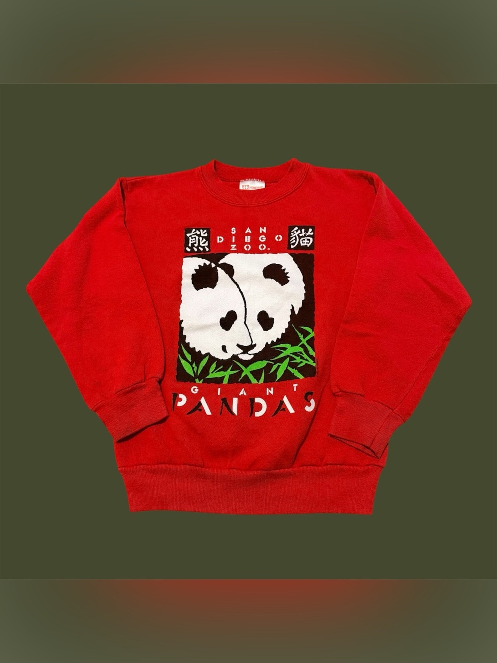Hanes San Diego Zoo “Giant Panda” YOUTH Crewneck Sweater